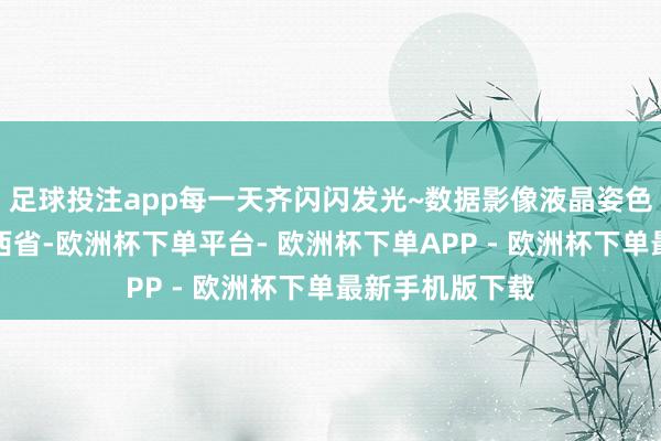 足球投注app每一天齐闪闪发光~数据影像液晶姿色盘发布于：山西省-欧洲杯下单平台- 欧洲杯下单APP - 欧洲杯下单最新手机版下载