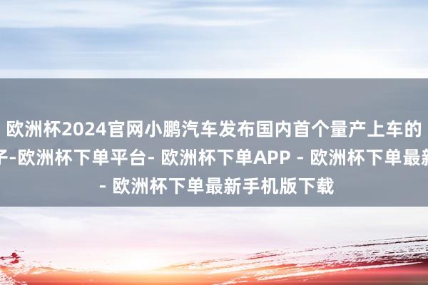 欧洲杯2024官网小鹏汽车发布国内首个量产上车的端到端大模子-欧洲杯下单平台- 欧洲杯下单APP - 欧洲杯下单最新手机版下载