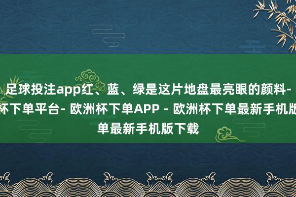 足球投注app红、蓝、绿是这片地盘最亮眼的颜料-欧洲杯下单平台- 欧洲杯下单APP - 欧洲杯下单最新手机版下载