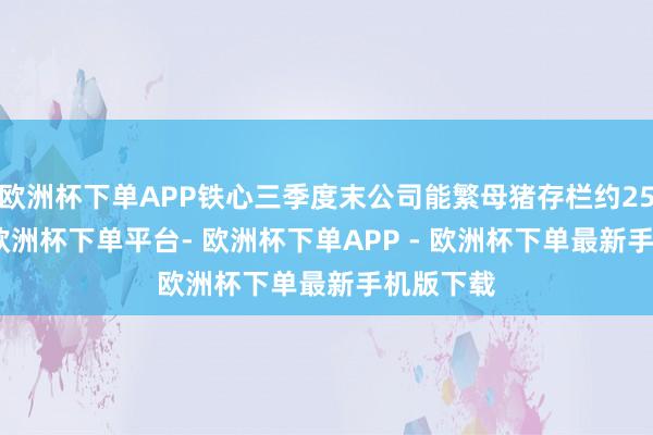 欧洲杯下单APP铁心三季度末公司能繁母猪存栏约25.7万头-欧洲杯下单平台- 欧洲杯下单APP - 欧洲杯下单最新手机版下载