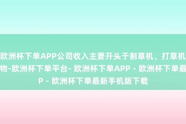 欧洲杯下单APP公司收入主要开头于割草机、打草机等园林机械产物-欧洲杯下单平台- 欧洲杯下单APP - 欧洲杯下单最新手机版下载