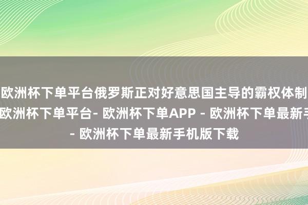 欧洲杯下单平台俄罗斯正对好意思国主导的霸权体制发起挑战-欧洲杯下单平台- 欧洲杯下单APP - 欧洲杯下单最新手机版下载