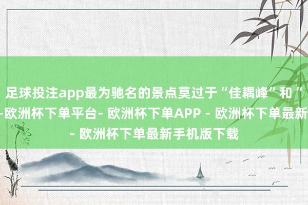 足球投注app最为驰名的景点莫过于“佳耦峰”和“雄鹰敛翅”-欧洲杯下单平台- 欧洲杯下单APP - 欧洲杯下单最新手机版下载