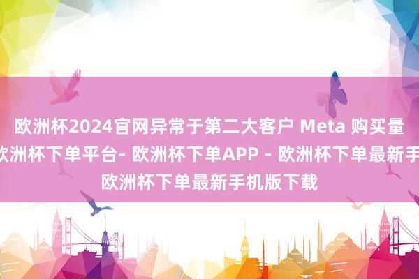 欧洲杯2024官网异常于第二大客户 Meta 购买量的 2 倍-欧洲杯下单平台- 欧洲杯下单APP - 欧洲杯下单最新手机版下载