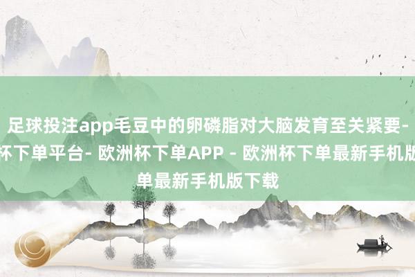 足球投注app毛豆中的卵磷脂对大脑发育至关紧要-欧洲杯下单平台- 欧洲杯下单APP - 欧洲杯下单最新手机版下载