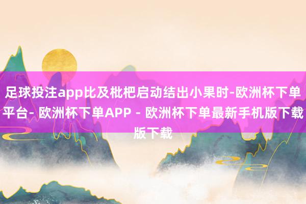 足球投注app比及枇杷启动结出小果时-欧洲杯下单平台- 欧洲杯下单APP - 欧洲杯下单最新手机版下载