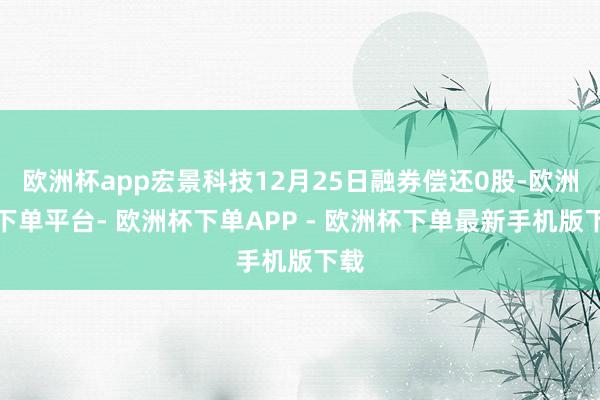 欧洲杯app宏景科技12月25日融券偿还0股-欧洲杯下单平台- 欧洲杯下单APP - 欧洲杯下单最新手机版下载