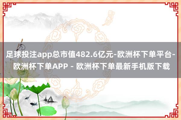 足球投注app总市值482.6亿元-欧洲杯下单平台- 欧洲杯下单APP - 欧洲杯下单最新手机版下载