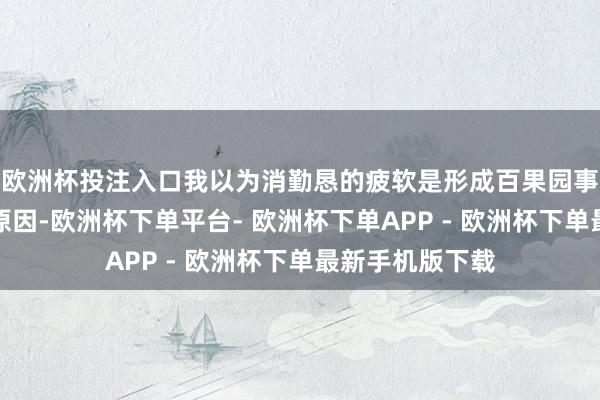 欧洲杯投注入口我以为消勤恳的疲软是形成百果园事迹下滑的中枢原因-欧洲杯下单平台- 欧洲杯下单APP - 欧洲杯下单最新手机版下载
