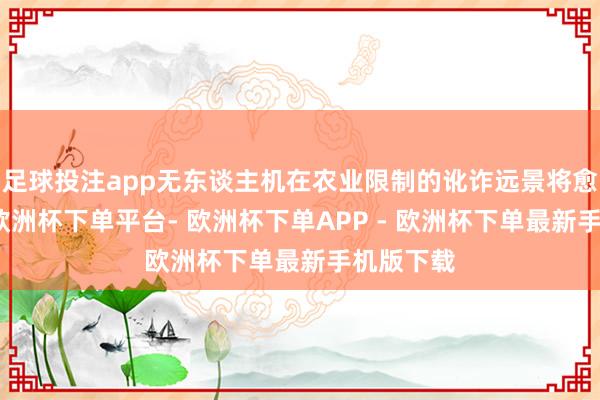 足球投注app无东谈主机在农业限制的讹诈远景将愈加广宽-欧洲杯下单平台- 欧洲杯下单APP - 欧洲杯下单最新手机版下载