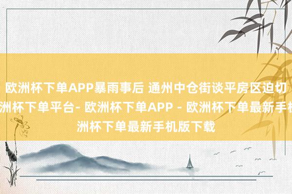 欧洲杯下单APP暴雨事后 通州中仓街谈平房区迫切抢修-欧洲杯下单平台- 欧洲杯下单APP - 欧洲杯下单最新手机版下载