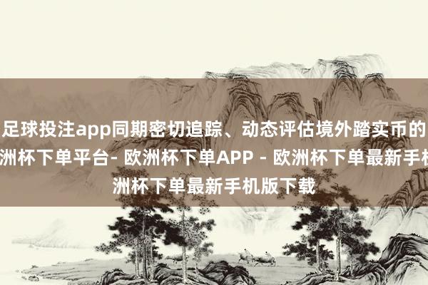 足球投注app同期密切追踪、动态评估境外踏实币的发展-欧洲杯下单平台- 欧洲杯下单APP - 欧洲杯下单最新手机版下载