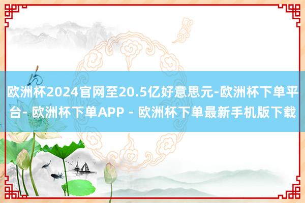 欧洲杯2024官网至20.5亿好意思元-欧洲杯下单平台- 欧洲杯下单APP - 欧洲杯下单最新手机版下载